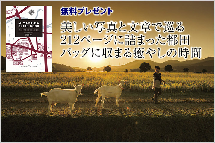 MIYAKODAガイドブック<スローでクリエイティブな街>