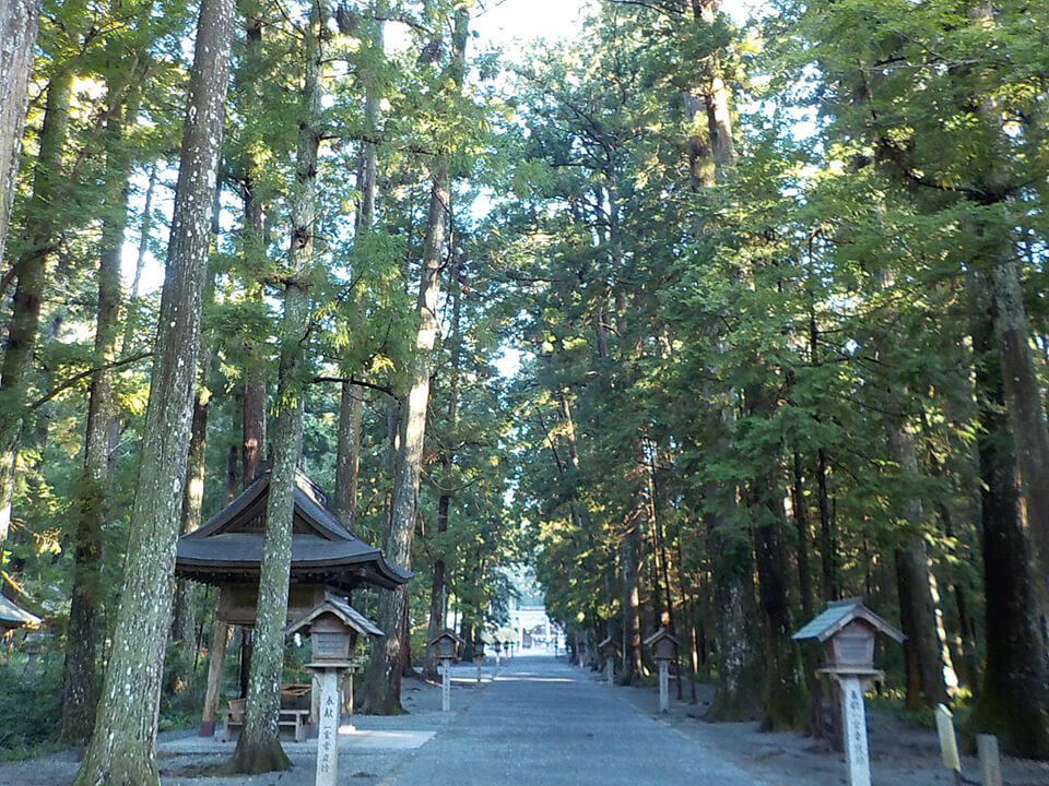 浜松から行ける森林浴スポット5選・日常にスローな時間をとりいれる方法