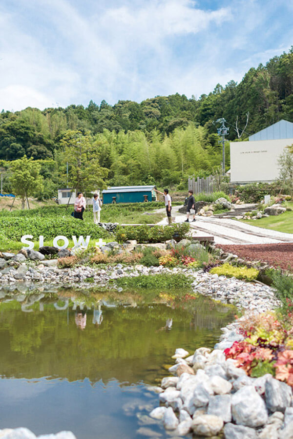 田んぼを再生したハートの池