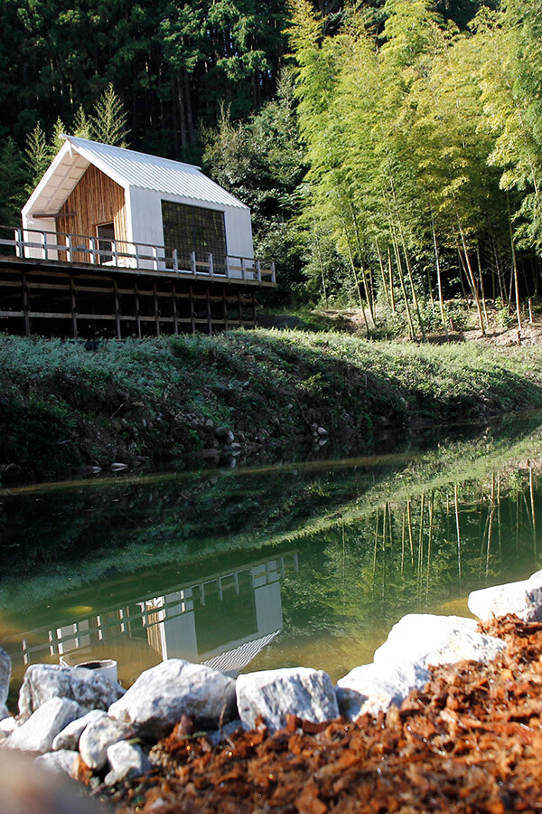 池と竹林とデザイン建築のハーモニー