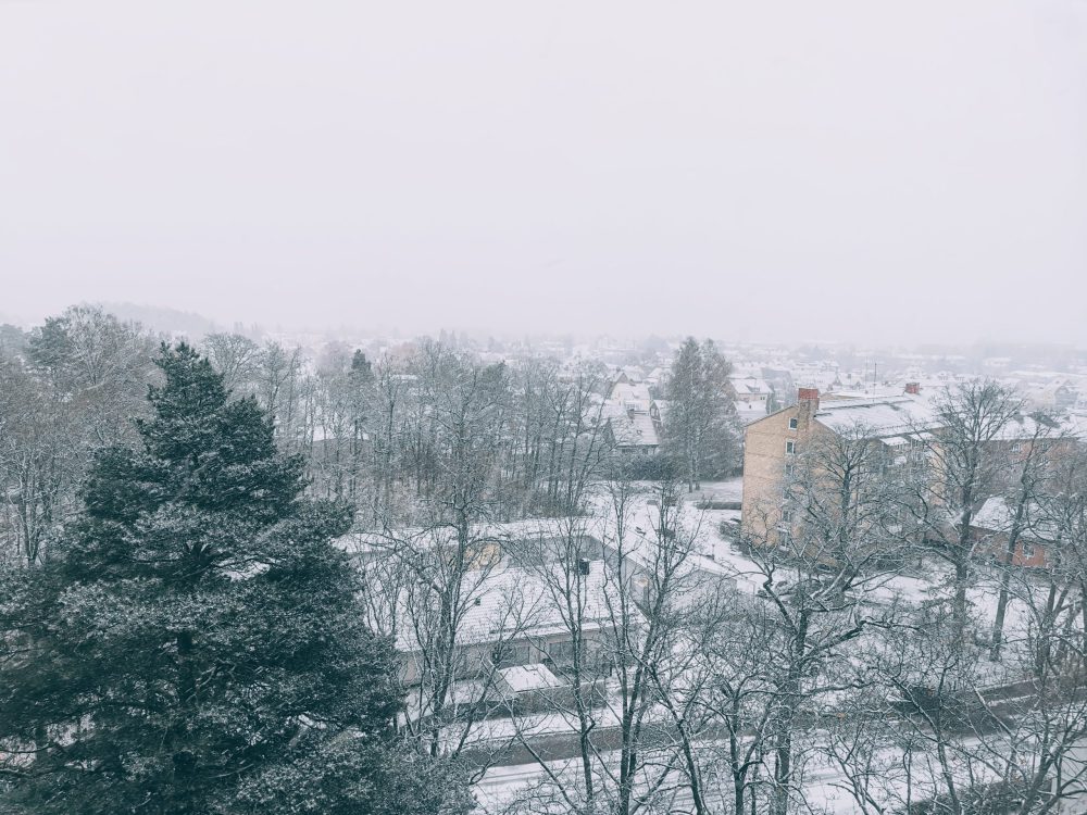 11月に入り初雪 スウェーデンで飼育されている牛につけられた一番多い名前は 浜松で安心の注文住宅を建てる工務店 都田建設 平屋 ガレージ 和モダンの実績多数